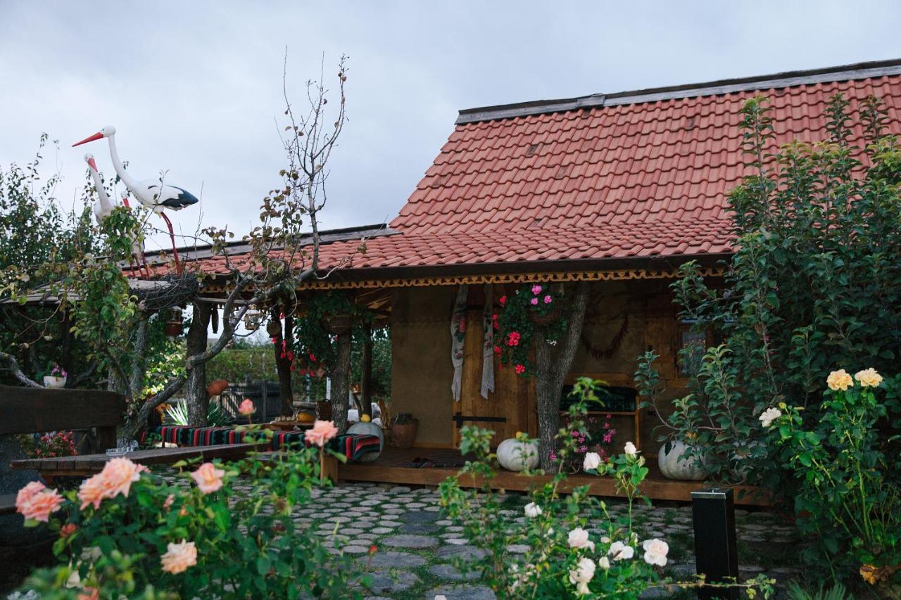Gagauz Sofrasi Hotel Congaz Екстериор снимка